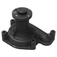 Load image into Gallery viewer, 495B-42000A: Water Pump - motofork