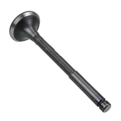 13715-UD010,13715-78300-71: Exhaust Valve - motofork