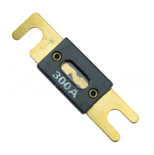 Load image into Gallery viewer, FU-300A-G00: Fuse - motofork